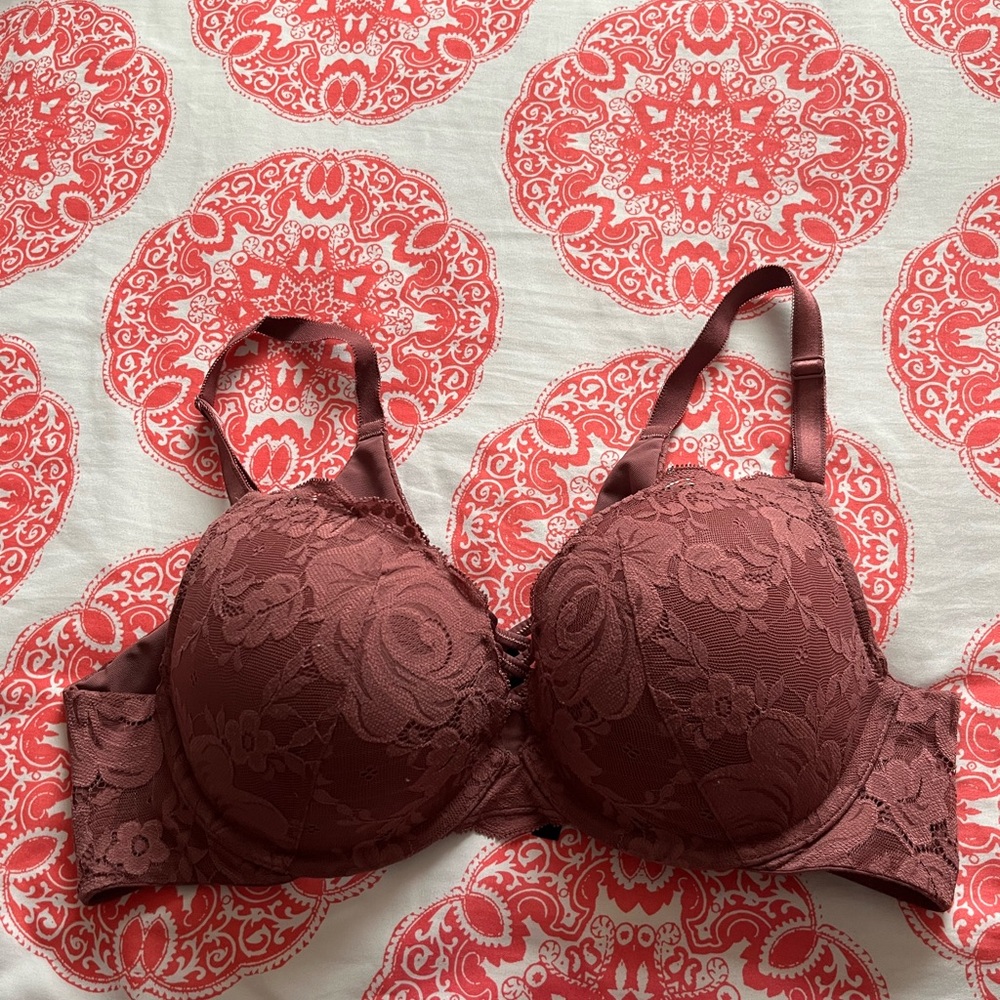 Torrid Curve 40C